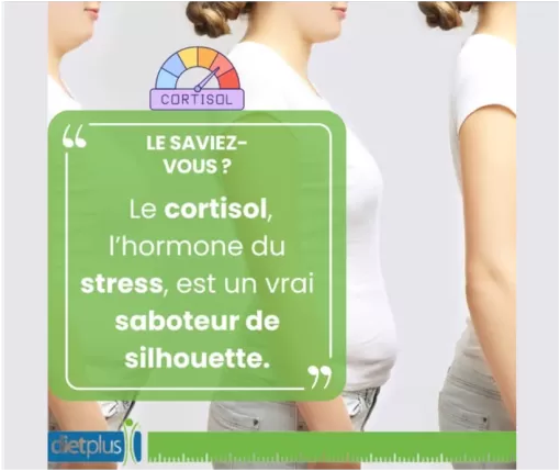 le cortisol